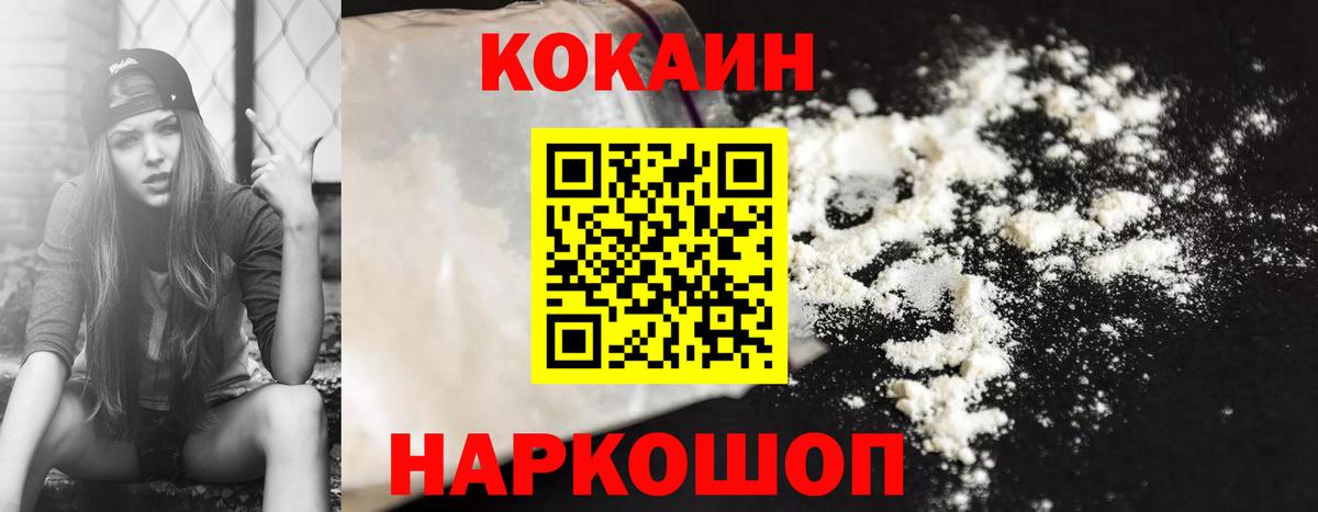 COCAIN Fish Scale  Вход с VPN  Шелехов 