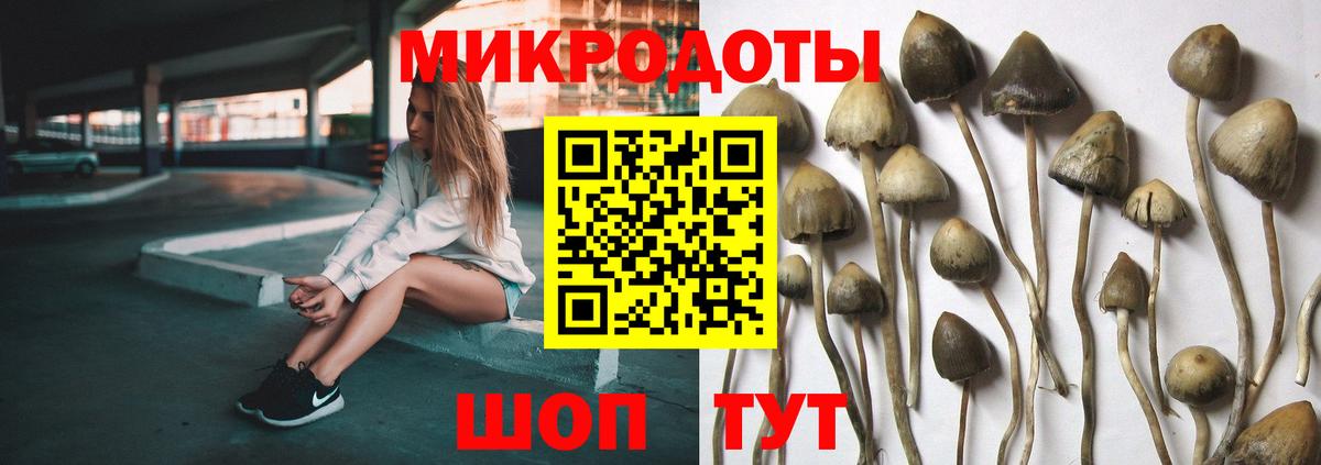 Шелехов  Псилоцибиновые грибы Psilocybe  наркота  Вход с VPN 